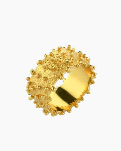 Ilina Goldplattierter klobiger Ring